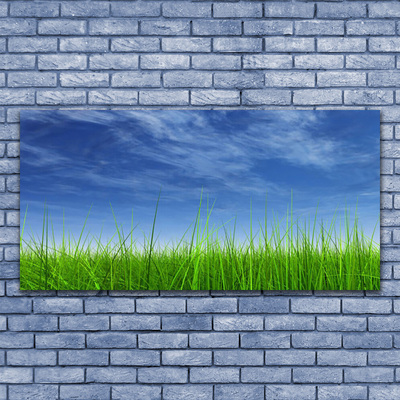 Paveikslas is stiklo Sky Grass gamtos augalas