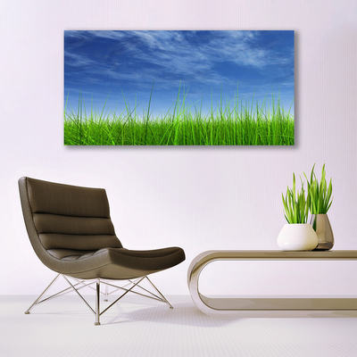Paveikslas is stiklo Sky Grass gamtos augalas