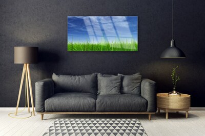 Paveikslas is stiklo Sky Grass gamtos augalas