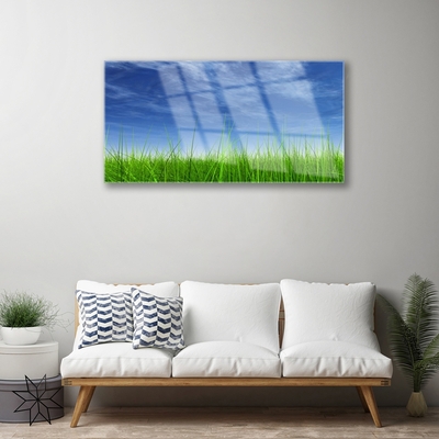 Paveikslas is stiklo Sky Grass gamtos augalas