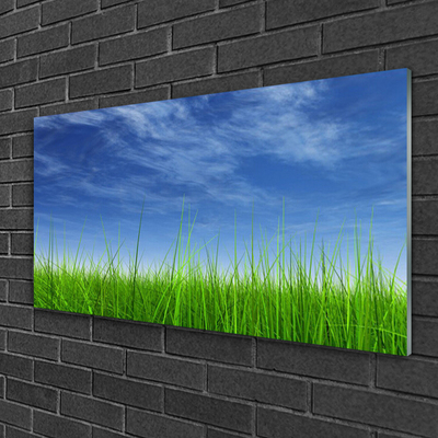 Paveikslas is stiklo Sky Grass gamtos augalas