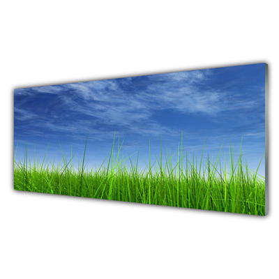 Paveikslas is stiklo Sky Grass gamtos augalas