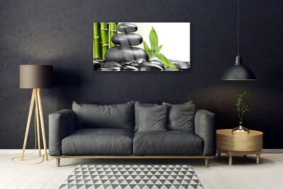 Paveikslas ant stiklo Akmenys lapai Art