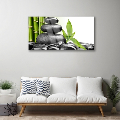 Paveikslas ant stiklo Akmenys lapai Art