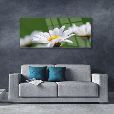 Stiklo paveikslas Daisy Ant sienos