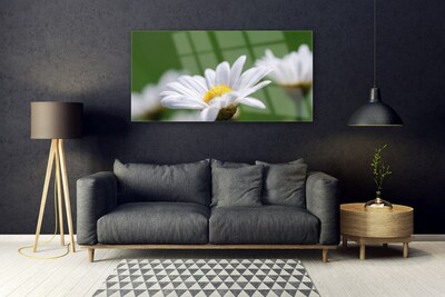 Stiklo paveikslas Daisy Ant sienos