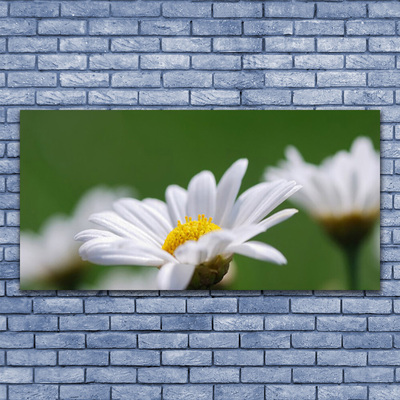 Stiklo paveikslas Daisy Ant sienos