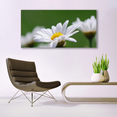 Stiklo paveikslas Daisy Ant sienos