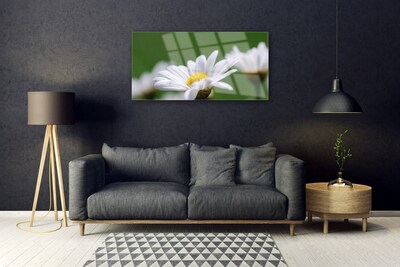 Stiklo paveikslas Daisy Ant sienos