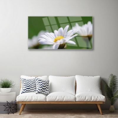 Stiklo paveikslas Daisy Ant sienos