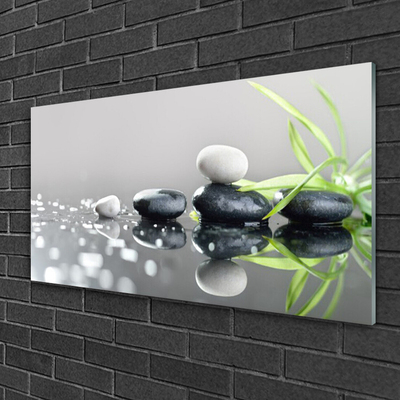 Stiklo paveikslas „Zen Grass“ SPA akmenys