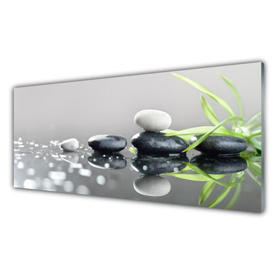 Stiklo paveikslas „Zen Grass“ SPA akmenys
