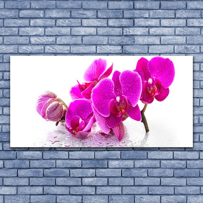 Stiklo paveikslas Pansy gėlės