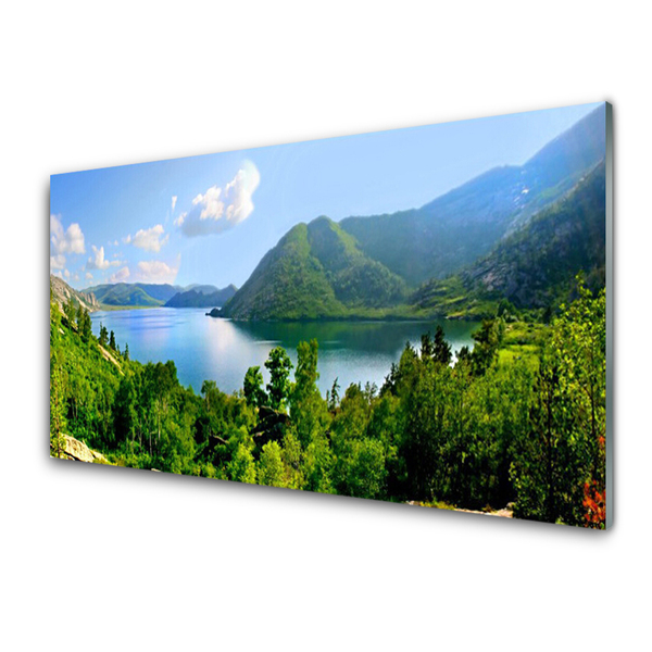 Paveikslas ant stiklo Miško ežero kalnų peizažas