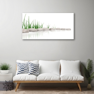 Paveikslas ant stiklo Akmenys žolė Art
