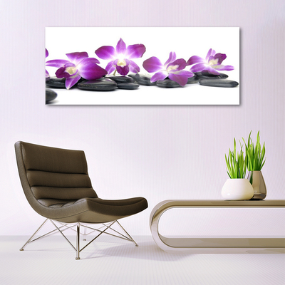 Paveikslas ant stiklo SPA Orchidėjų gėlė