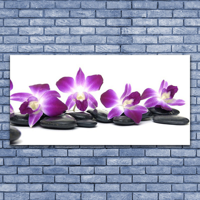 Paveikslas ant stiklo SPA Orchidėjų gėlė