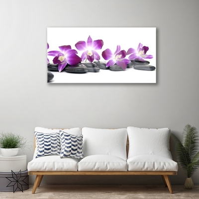 Paveikslas ant stiklo SPA Orchidėjų gėlė