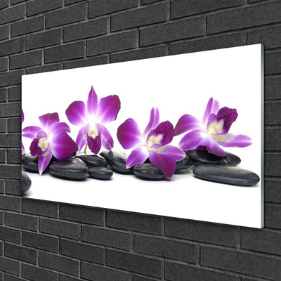 Paveikslas ant stiklo SPA Orchidėjų gėlė
