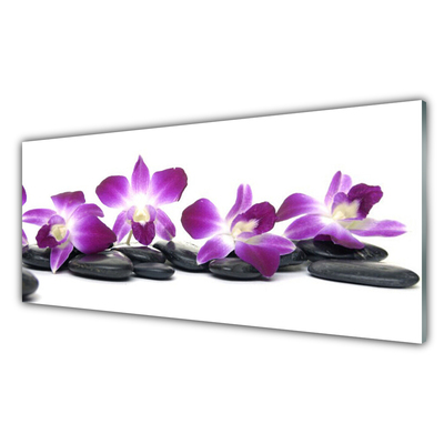 Paveikslas ant stiklo SPA Orchidėjų gėlė