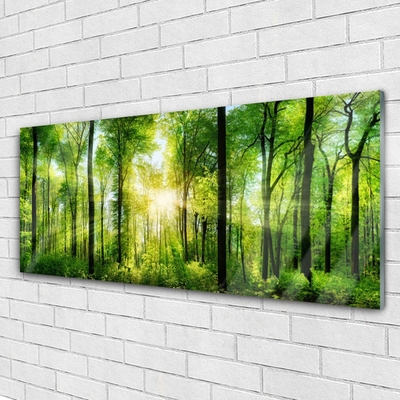 Stiklo paveikslas Miško gamtos medžiai