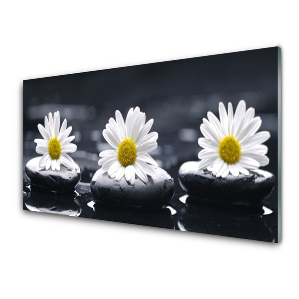Stiklo paveikslas Daisy Stones augalas