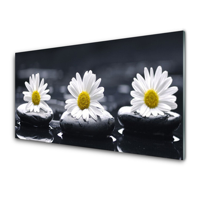 Stiklo paveikslas Daisy Stones augalas