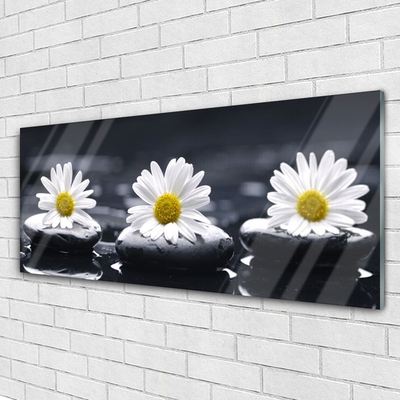 Stiklo paveikslas Daisy Stones augalas