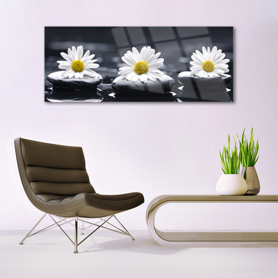 Stiklo paveikslas Daisy Stones augalas