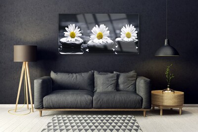 Stiklo paveikslas Daisy Stones augalas