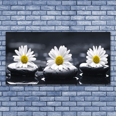 Stiklo paveikslas Daisy Stones augalas