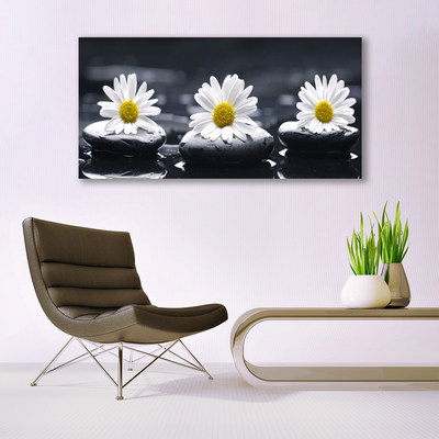 Stiklo paveikslas Daisy Stones augalas