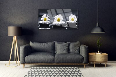 Stiklo paveikslas Daisy Stones augalas