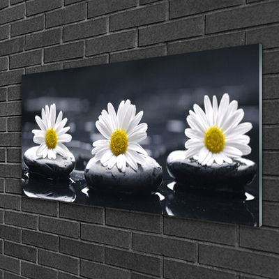 Stiklo paveikslas Daisy Stones augalas