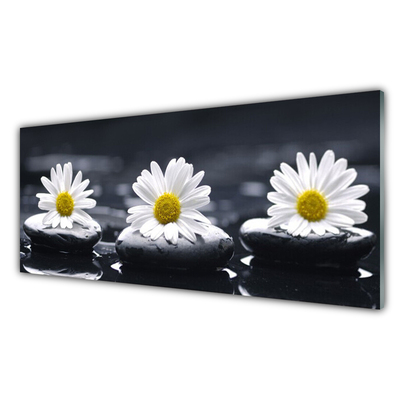 Stiklo paveikslas Daisy Stones augalas