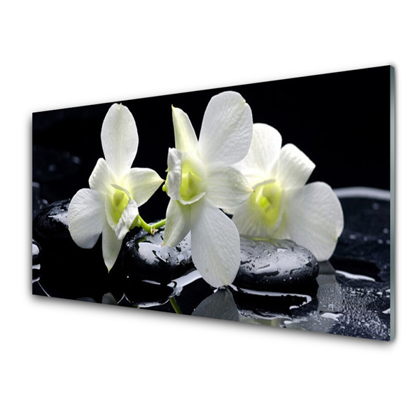 Stiklo paveikslas Balta orchidėjų gėlė