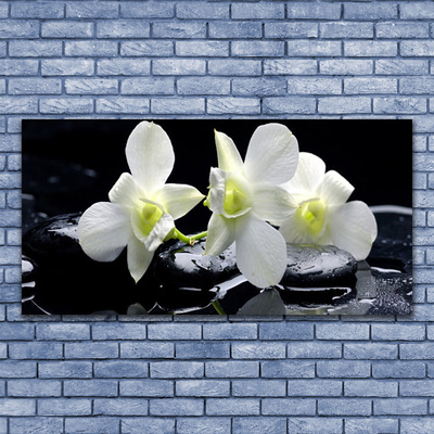 Stiklo paveikslas Balta orchidėjų gėlė