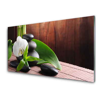 Paveikslas ant stiklo SPA Orchidėjų gėlė