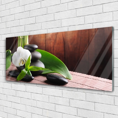 Paveikslas ant stiklo SPA Orchidėjų gėlė