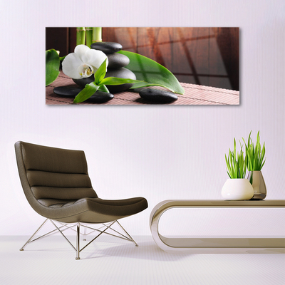 Paveikslas ant stiklo SPA Orchidėjų gėlė