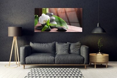 Paveikslas ant stiklo SPA Orchidėjų gėlė