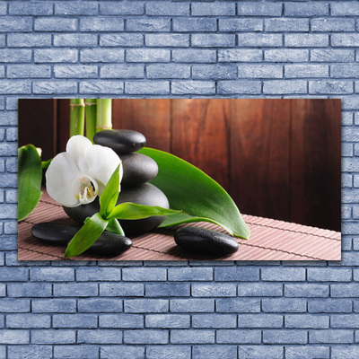 Paveikslas ant stiklo SPA Orchidėjų gėlė
