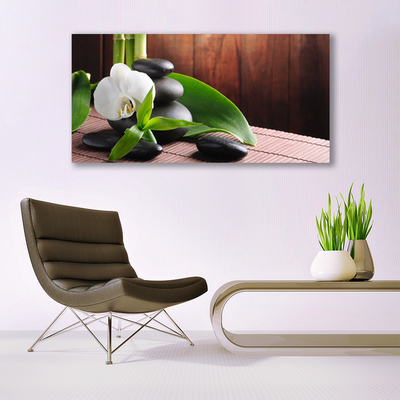 Paveikslas ant stiklo SPA Orchidėjų gėlė