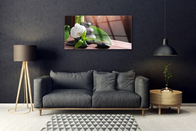 Paveikslas ant stiklo SPA Orchidėjų gėlė