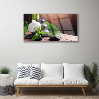 Paveikslas ant stiklo SPA Orchidėjų gėlė