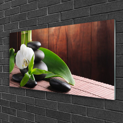 Paveikslas ant stiklo SPA Orchidėjų gėlė