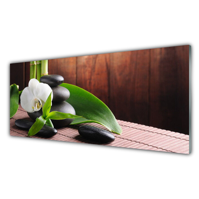 Paveikslas ant stiklo SPA Orchidėjų gėlė