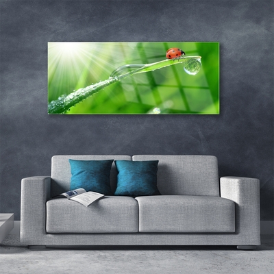 Stiklo paveikslas Ladybug Nature Grass