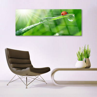 Stiklo paveikslas Ladybug Nature Grass