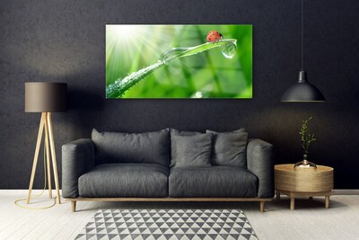 Stiklo paveikslas Ladybug Nature Grass